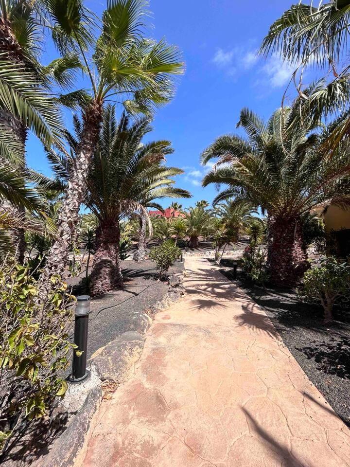 Sun & Sea Apartment In Corralejo Exteriör bild